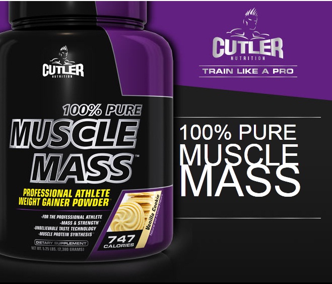 cutler muscle mass